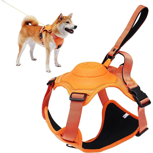 All-in-One Dog Harness & Retractable Leash